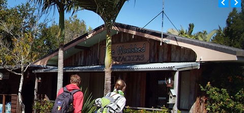 Woolshed Backpackers - Accommodation Yamba 5
