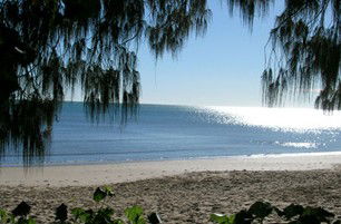 Scarness Beachfront Tourist Park - Accommodation Yamba 1