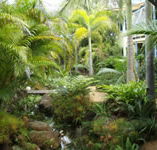Chamomile Bed and Breakfast - Accommodation Yamba