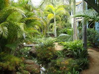 Chamomile Bed And Breakfast - Accommodation Yamba 0