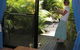 Sunbird Gardens - thumb 4