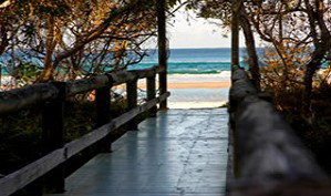 Anchorage Beachfront Island Resort - Accommodation Yamba 4