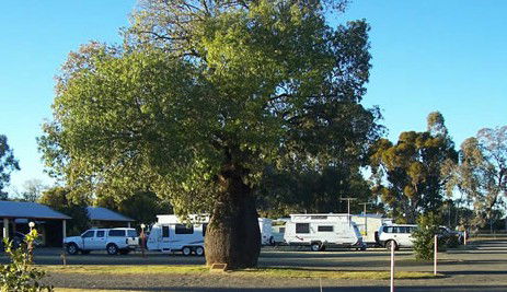 Tambo Mill Motel And Van Park - Accommodation Yamba 4
