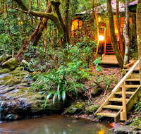 The Mouses House - Rainforest Retreat - Accommodation Yamba