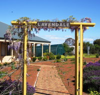 Lavendale Farmstay and Cottages - Accommodation Yamba