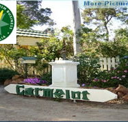 Carmelot Bed  Breakfast - Accommodation Yamba
