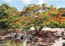 Barnacles Backpackers - Accommodation Yamba 1