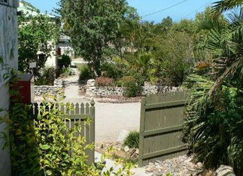 Barnacles Backpackers - Accommodation Yamba 5