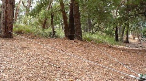 UC Camping Norval - Accommodation Yamba 2