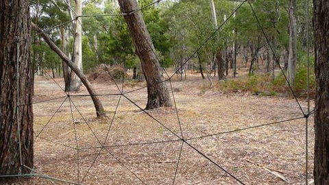 UC Camping Norval - Accommodation Yamba 4