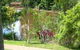 Resort Bamaga - thumb 2