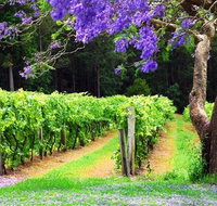 Bago Vineyards - Accommodation Yamba