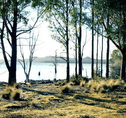 Blue Lake Lodge - Accommodation Yamba 5