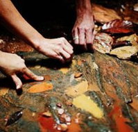 Daintree Eco Lodge And Spa - Accommodation Yamba