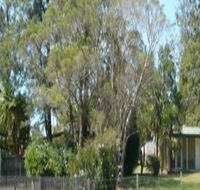 Nimbin Backpackers at Grannys Farm - Accommodation Yamba