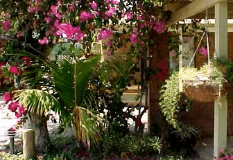 Denham Villas - Accommodation Yamba