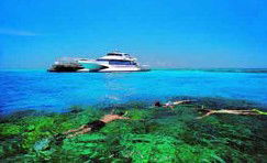 Port O' Call Eco Lodge - Accommodation Yamba 2
