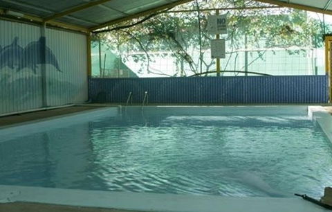Wycliffe Well Holiday Park - Accommodation Yamba 1