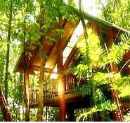 The Canopy Treehouses - Accommodation Yamba
