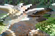 Wynyabbie House - Accommodation Yamba 2