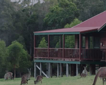 Walpole Wilderness Resort - Accommodation Yamba