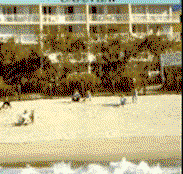 Capeview Apartments By The Sea - Accommodation Yamba