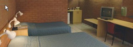 Pine Tree Motel - Accommodation Yamba 0