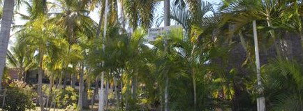 Pine Tree Motel - Accommodation Yamba 2