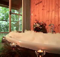 Tree Houses Of Montville - Accommodation Yamba