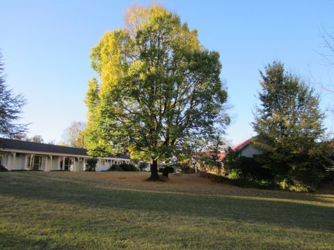 Moore Park Inn - Accommodation Yamba 0
