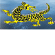 Dragon Phoenix Motel & Restuarant - Accommodation Yamba 1