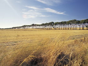 Port Wakefield Motel - Accommodation Yamba 0