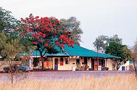 Wauchope Hotel And Roadhouse - Accommodation Yamba 0