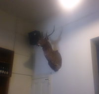 Union Hotel - Accommodation Yamba