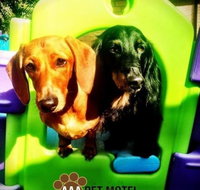 AAA Pet Motel - Accommodation Yamba