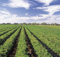 Diplomat Motel amp Restaurant - Accommodation Yamba