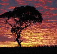 Kimba Caravan Park amp Motel - Accommodation Yamba