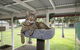 Durack Pet Motel - thumb 5