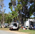 Elliston Caravan Park - Accommodation Yamba