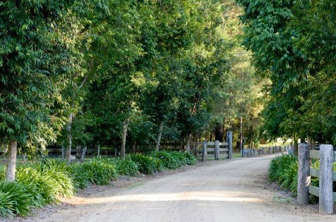 The Plantation - Accommodation Yamba 0