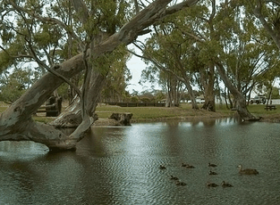 Bordertown Abode Parkland Motel - Accommodation Yamba 2
