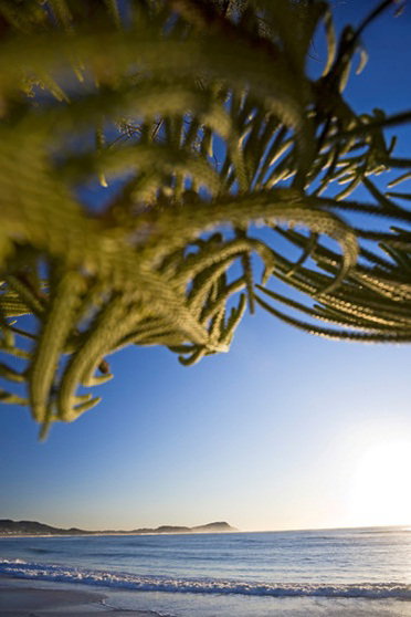 Terrigal Sails Serviced Apartments - Accommodation Yamba 5