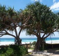 Pacific Surf Absolute Beachfront Apartments
