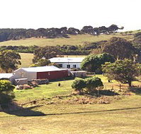 Sun Valley Eco Farm - Accommodation Yamba