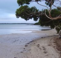 Stanley Lakeside Spa Cabins - Accommodation Yamba