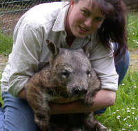 Fauna Australia Wildlife Retreat - Accommodation Yamba