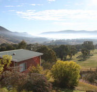 The Black Sparrow - Accommodation Yamba