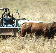 Bullo River Station - Accommodation Yamba