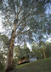 Ada VIC Accommodation Yamba
