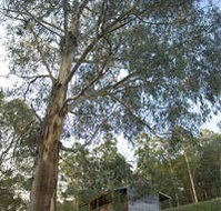 Outpost Restaurant - Accommodation Yamba